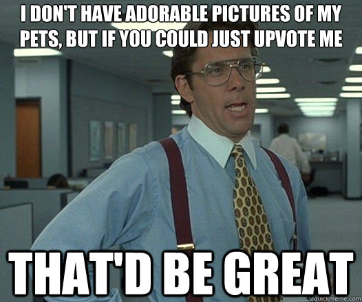 i dont have adorable pictures of my pets but if you could - Lumbergh