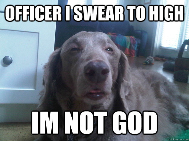officer i swear to high im not god -