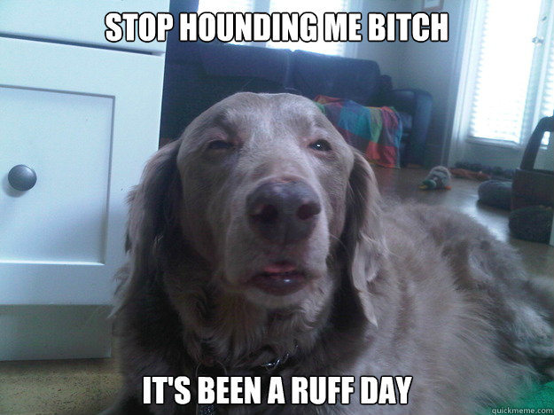 stop hounding me bitch its been a ruff day - 10 Dog