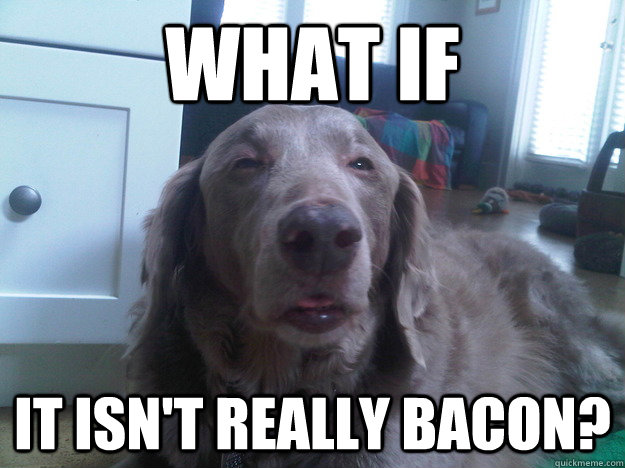 what if it isnt really bacon - 10 Dog