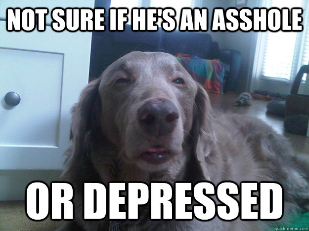 not sure if hes an asshole or depressed - 10 Dog