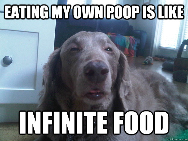 eating my own poop is like infinite food - 10 Dog
