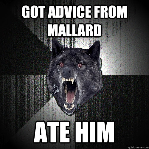 got advice from mallard ate him - Insanity Wolf