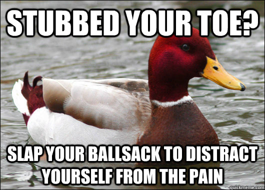 stubbed your toe slap your ballsack to distract yourself fr - Malicious Advice Mallard