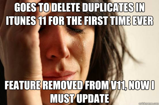 goes to delete duplicates in itunes 11 for the first time ev - First World Problems