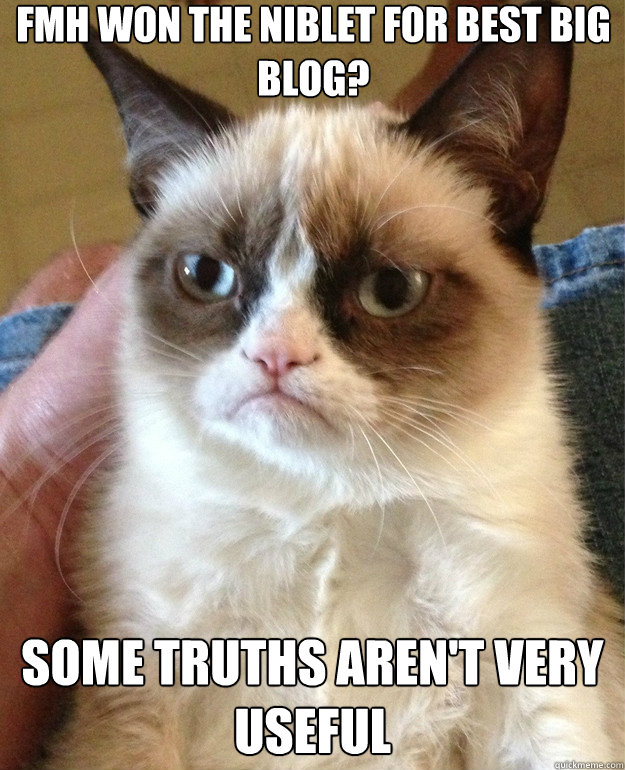 fmh won the niblet for best big blog some truths arent ver - Grumpy Cat
