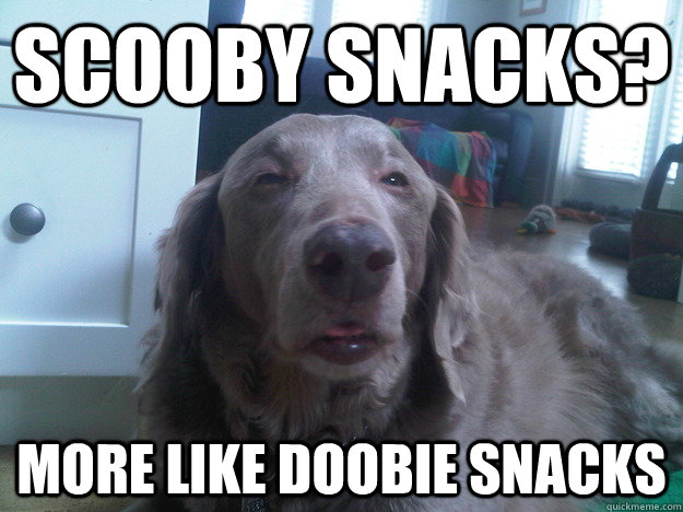 scooby snacks more like doobie snacks - 10 Dog