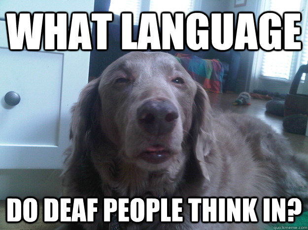 what language do deaf people think in - 10 Dog