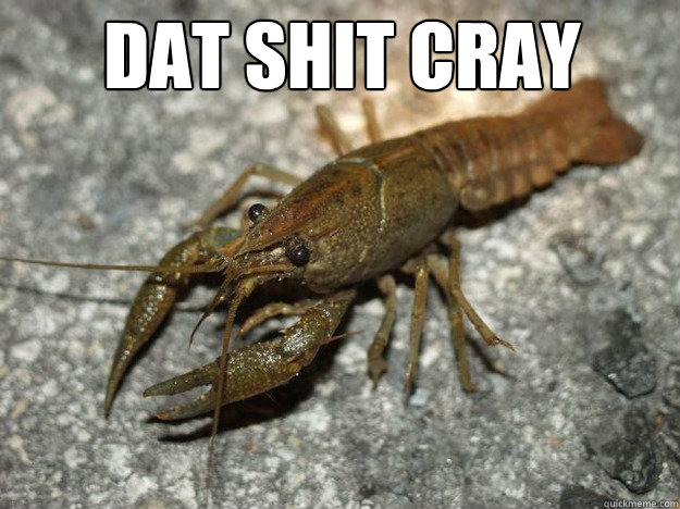 dat shit cray - That shit cray