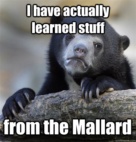 i have actually learned stuff from the mallard - Confession Bear