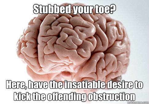 stubbed your toe here have the insatiable desire to kick t - Scumbag Brain