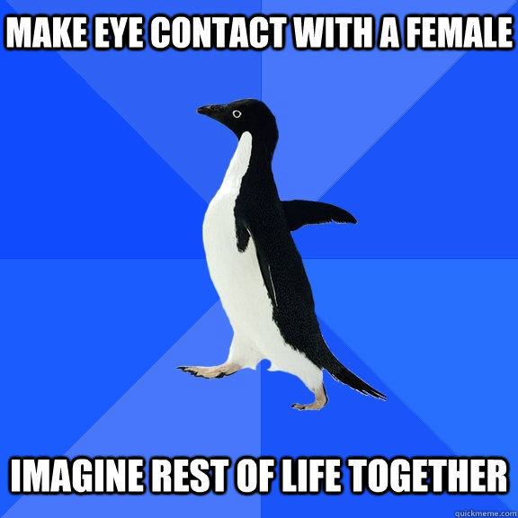 make eye contact with a female imagine rest of life together - Socially Awkward Penguin