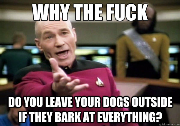 why the fuck do you leave your dogs outside if they bark at - Why The Fuck Picard