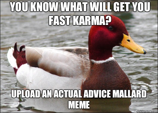 You know what will get you fast karma Upload an actual advic - Malicious Advice Mallard