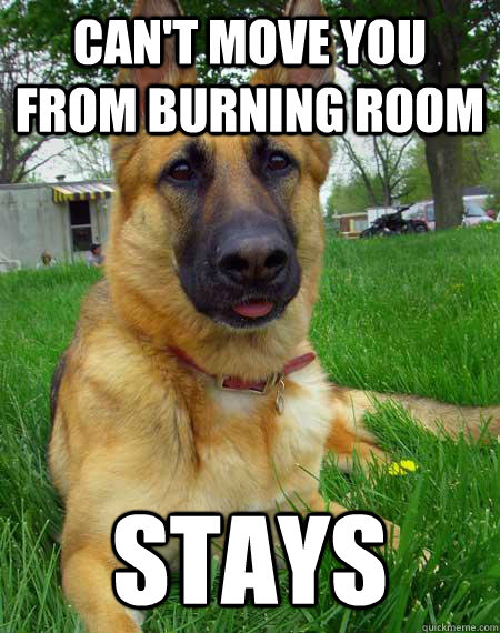 cant move you from burning room stays - Best Friend Dog