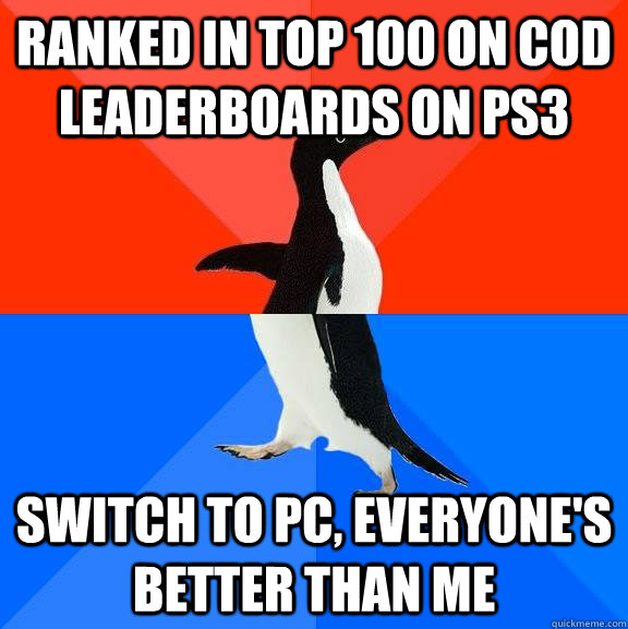 ranked in top 100 on cod leaderboards on ps3 switch to pc e - Socially Awesome Awkward Penguin