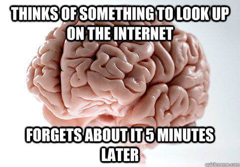 thinks of something to look up on the internet forgets abou - Scumbag Brain