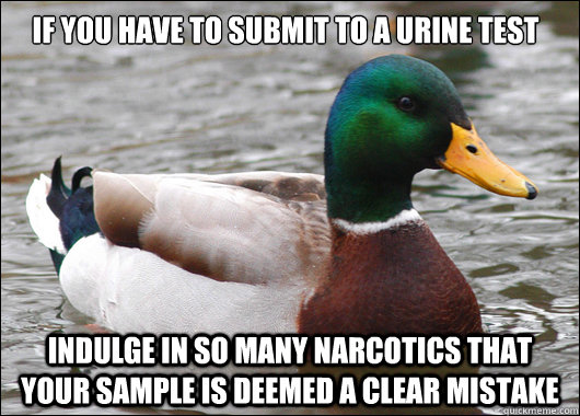 if you have to submit to a urine test indulge in so many nar - Actual Advice Mallard