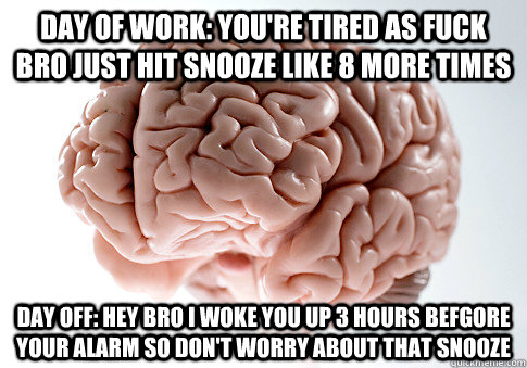 day of work youre tired as fuck bro just hit snooze like 8 - Scumbag Brain