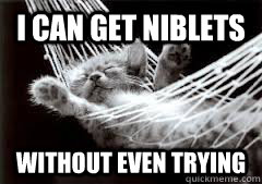 i can get niblets without even trying - catnip