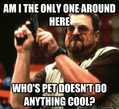am i the only one around here whos pet doesnt do anything - Am I The Only One Around Here