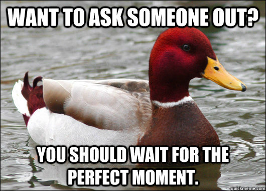 want to ask someone out you should wait for the perfect mom - Malicious Advice Mallard