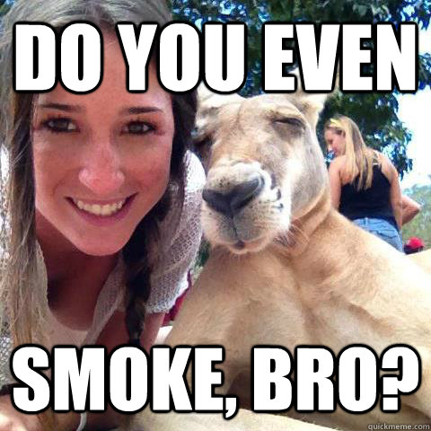 do you even smoke bro - 10 Joey