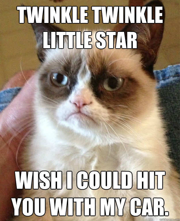 twinkle twinkle little star wish i could hit you with my car - Grumpy cat