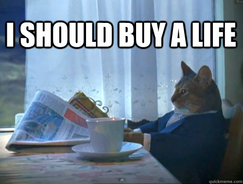 i should buy a life - 1 Cat