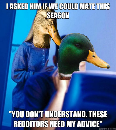 i asked him if we could mate this season you dont understa - Actual Advice Mallards Wife