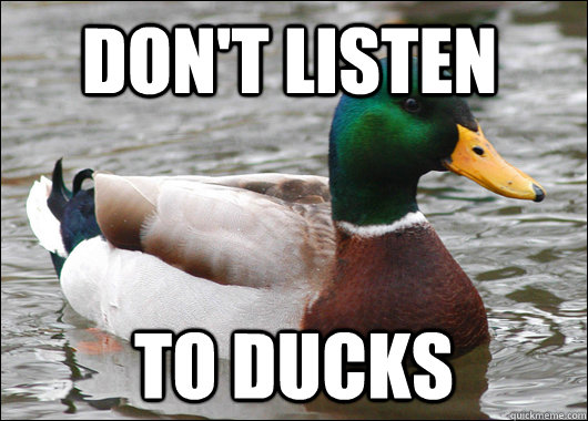 dont listen to ducks - Actual Advice Mallard