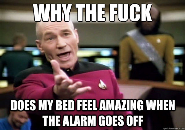 why the fuck does my bed feel amazing when the alarm goes of - Why The Fuck Picard