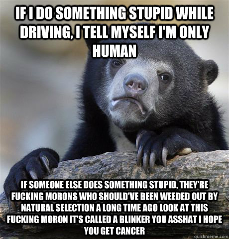 if i do something stupid while driving i tell myself im on - Confession Bear