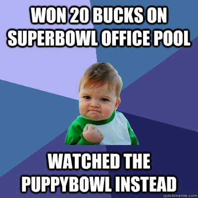 won 20 bucks on superbowl office pool watched the puppybowl - Success Kid
