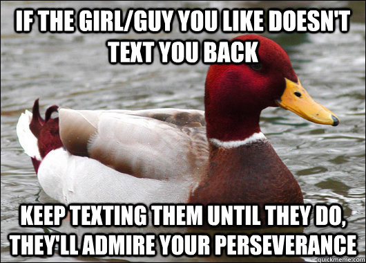 if the girlguy you like doesnt text you back keep texting - Malicious Advice Mallard