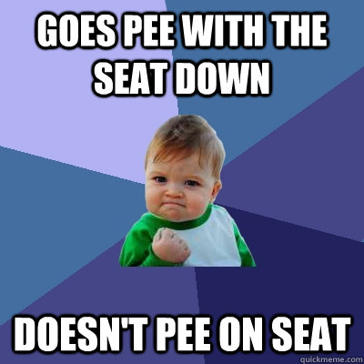 goes pee with the seat down doesnt pee on seat - Success Kid