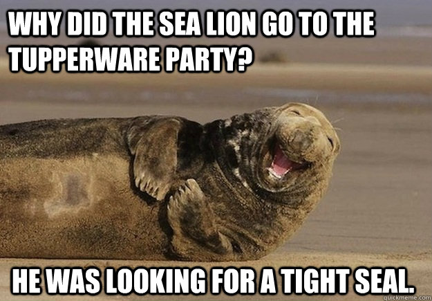why did the sea lion go to the tupperware party he was look - Sea Lion Brian