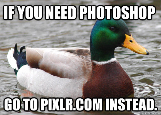 if you need photoshop go to pixlrcom instead - Actual Advice Mallard