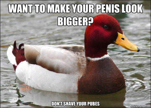 want to make your penis look bigger dont shave your pubes - Malicious Advice Mallard
