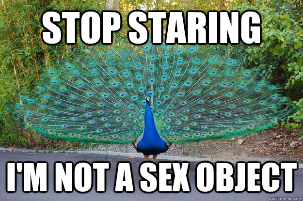stop staring im not a sex object -