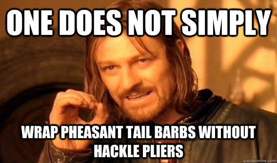 one does not simply wrap pheasant tail barbs without hackle - onedoesnot