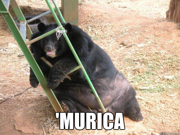 murica - Obese Bear