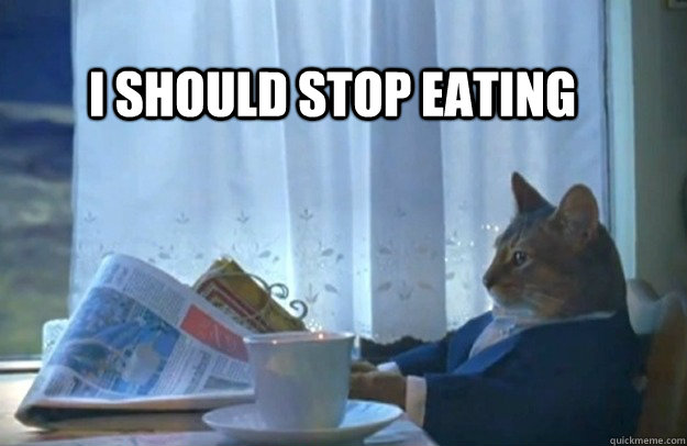 i should stop eating - Sophisticated Cat