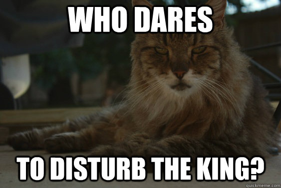 who dares to disturb the king - King of the Backyard