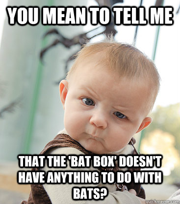 you mean to tell me that the bat box doesnt have anything - skeptical baby