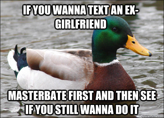 if you wanna text an exgirlfriend masterbate first and then - Actual Advice Mallard
