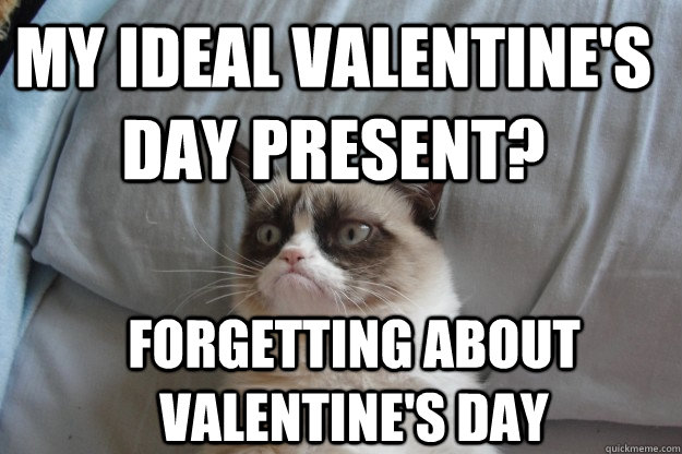 my ideal valentines day present forgetting about valentine - GrumpyCatOL