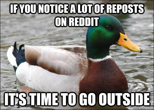 if you notice a lot of reposts on reddit its time to go out - Actual Advice Mallard