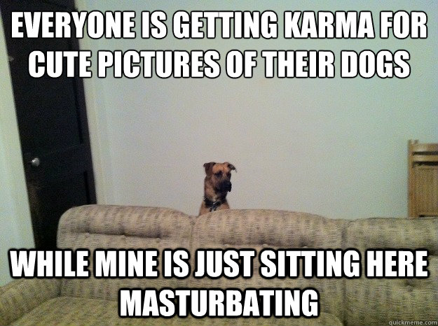 everyone is getting karma for cute pictures of their dogs wh -
