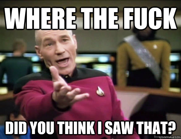 where the fuck did you think i saw that - Annoyed Picard HD